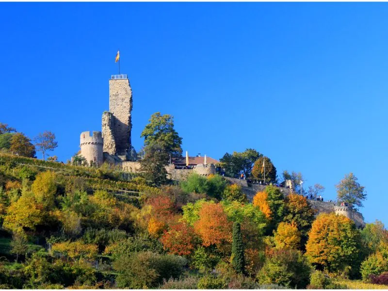 Herbstliche Wachtenburg