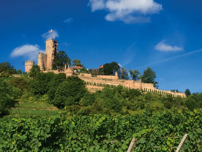 Sommerliche Wachtenburg